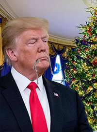 Trump was photographed earlier this month with tinsel hanging from his mouth leading many to believe that he has been eating the decorations.