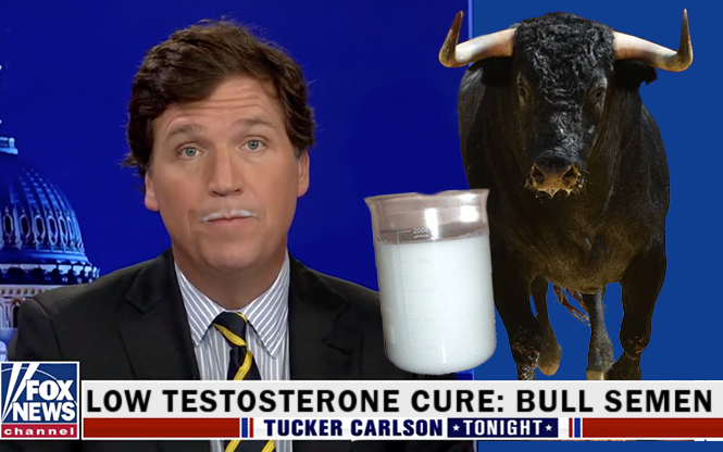 Tucker Carlson Suggests Drinking Bull Semen to Increase Testosterone