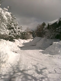 Scientist say recent snow storms prove that global warming does not exist.