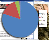 According to research, the internet is now 80% porn, 15% cat images and 4% comments made by assholes.