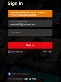 Netflix users across the country lost access to the site after a Michigan grandmother changed her password. 