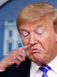 Trump picks his nose, attempting to remove boogers, during a meeting in the Oval Office.