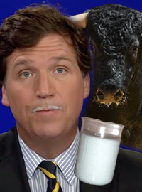 Fox News television personality Tucker Carlson told his viewers to drink bull semen to increase their testosterone. 